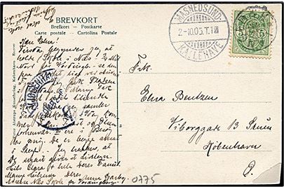 5 øre Våben på brevkort (Dampfærgerne på Masnedø) annulleret med stjernestempel LANGEBÆK og sidestemplet bureau Masnedsund - Kallehave T.1 d. 2.10.1905 til Kjøbenhavn.
