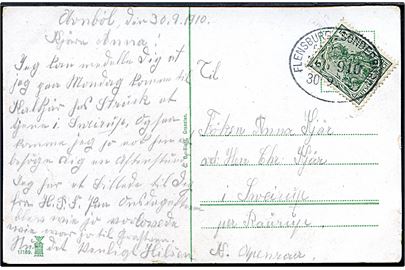 5 pfg. Germania på brevkort (Danske nationaldragter) fra Avnbøl annulleret med bureaustempel Flensburg - Sonderburg Bahnpost Zug 910 d. 30.7.1910 til Apenrade.