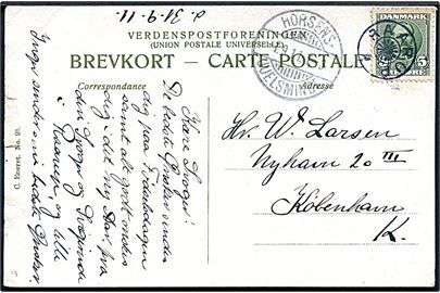 5 øre Fr. VIII på brevkort annulleret med stjernestempel RAARUP og sidestemplet bureau Horsens - Juelsminde T. 3 d. 31.9.1911 til København.