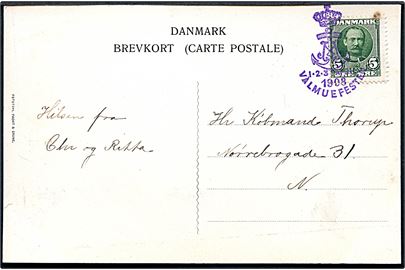 5 øre Fr. VIII på brevkort (Prinsesse Marie) annulleret med særstempel Valmuefesten 1.2.3. April 1908.