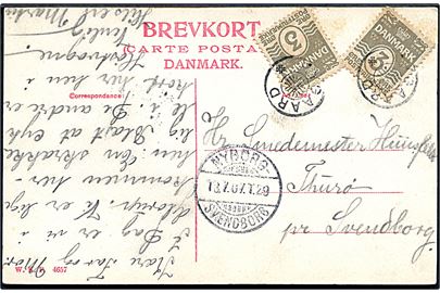 3 øre Bølgelinie (2) på brevkort annulleret med stjernestempel RYGAARD og sidestemplet bureau Nyborg - Svendborg T.29 d. 18.7.1907 til Thurø pr. Svendborg.