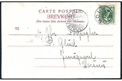 5 øre Chr. IX på brevkort annulleret med stjernestempel STOHOLM og sidestemplet bureau Langaa - Struer d. 12.7.1906 til Horsens.