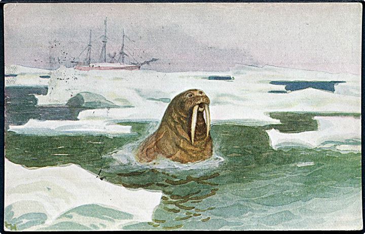 5 øre Posthorn på Poshavet brevkort annulleret Polhavet d. 13.9.1918 og igen Polhavet d. 4.8.1924 til Skive, Danmark.