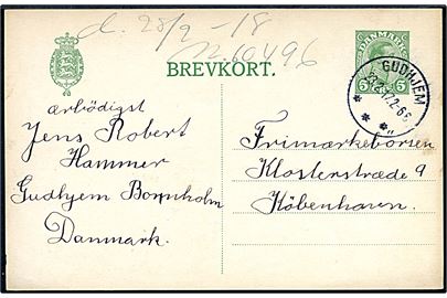5 øre Chr. X helsagsbrevkort annulleret med brotype IIIb Gudhjem d. 23.2.1917 til København.