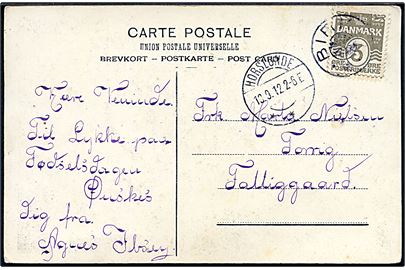 3 øre Bølgelinie på lokalt brevkort annulleret med stjernestempel BIRKET og sidestemplet Horslunde d. 19.9.1912 til Torrig Fattiggaard. Uldent aftryk af sjældent stempel som kun blev benyttet i 1912-14.