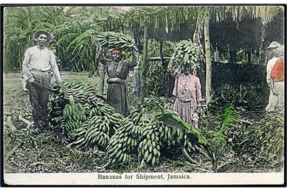 Jamaica, Bananas for Shipment. Frankeret med 1d Våben fra Kingston  d. 17.2.1906 til Nakskov, Danmark.