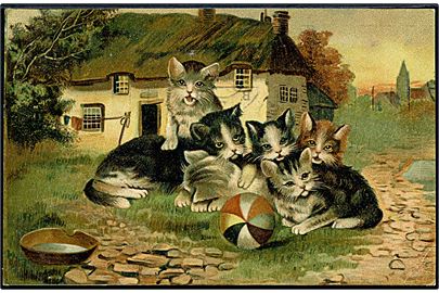 Reklamekort fra Hoffmann's Stärkefabriken med katte. U/no. 