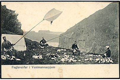 Fuglefangere på Vestmannaøerne. Finsen & Johnson no. 5981.