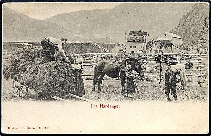 Norge. Fra Hardanger. H. Abel no. 238. 
