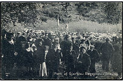 Parti af Gjørslev Bøgeskov i Stevns. Rudolf Thomsen no. 867 08. 