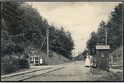 Fredericia. Jernbane leddet i Hannerup Skov med Lokomotivet. U/no. 