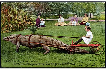 The Joy Ride at the California Alligator farm, Los Angeles, California. Edw. H. Mitchell no. 2950. (Afrevet mærke). 