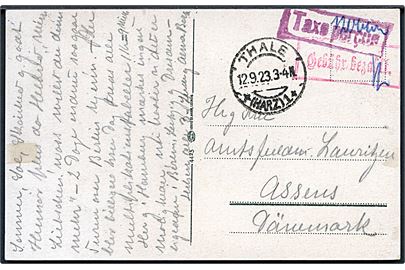 120.000 mk. bar-frankeret infla brevkort fra Thale d. 12.9.1923 med rammestempel Taxe percue og Gebühr bezahlt samt påskrevet 120.000 til Assens, Danmark.