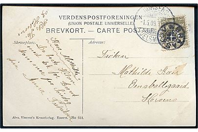 3 øre Bølgelinie på lokalt brevkort annulleret med stjernestempel BRAASKOV og sidestemplet bureau Horsens - Juelsminde d. 1.5.1908 til Horsens. 