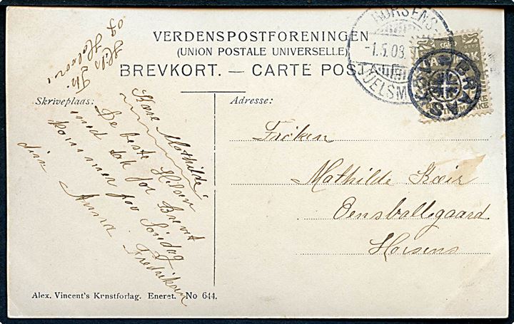 3 øre Bølgelinie på lokalt brevkort annulleret med stjernestempel BRAASKOV og sidestemplet bureau Horsens - Juelsminde d. 1.5.1908 til Horsens. 