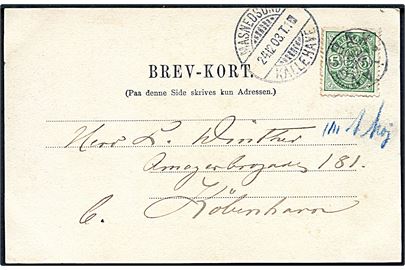 5 øre Våben på brevkort annulleret med stjernestempel LANGEBÆK og sidestemplet bureau Masnedsund - Kallehave T.1 d. 24.12.1903 til København.