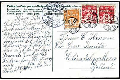1 øre og 2 øre (par) Bølgelinie på brevkort annulleret med stjernestempel BURSØ og sidestemplet bureau Nykjøbing F. - Nakskov T.8 d. 20.6.1907 til Liliendal pr. Mern.