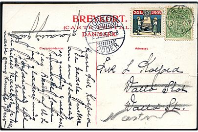 5 øre Våben og Julemærke 1905 på brevkort annulleret med stjernestempel HALDRUP og sidestemplet bureau Horsens - Odder T.8 d. 22.12.1905 til Vallø Slot pr. Vallø St. - ændret til Næstved.