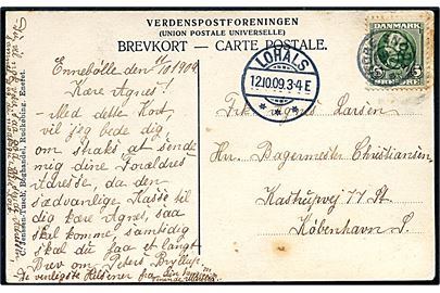 5 øre Fr. VIII på brevkort (Nedergaard) annulleret med stjernestempel STORE SNØDE og sidestemplet Lohals d. 12.10.1909 til København.