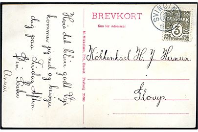 3 øre Bølgelinie på brevkort (Faaborg Realskole) sendt lokalt med stjernestempel SVINDINGE F. til Glorup.