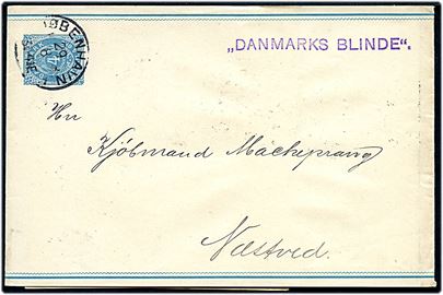 4 øre Korsbånd sendt som tryksag fra Danske Blinde og stemplet Kjøbenhavn d. 29.8.1894 til Næstved.