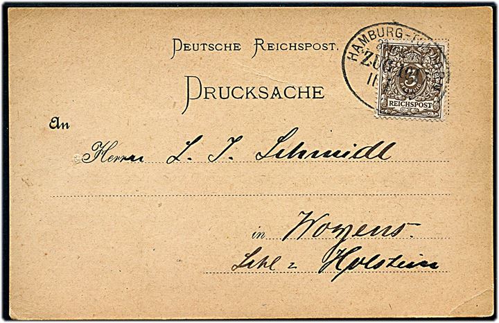 3 pfg. Ciffer på tryksagskort annulleret med bureaustempel Hamburg - Tondern Bahnpost Zug 1017 d. 11.1.1895 til Woyens.