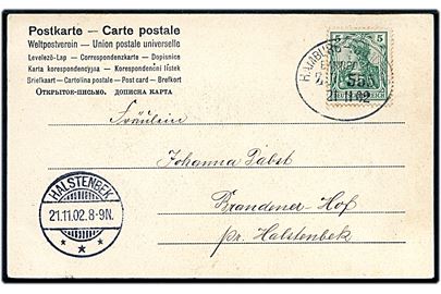 5 pfg. Germania på brevkort annulleret med bureaustempel Hamburg - Vamdrup Bahnpost Zug 555 d. 21.11.1902 til Halstenbek.
