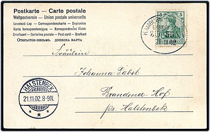 5 pfg. Germania på brevkort annulleret med bureaustempel Hamburg - Vamdrup Bahnpost Zug 555 d. 21.11.1902 til Halstenbek.
