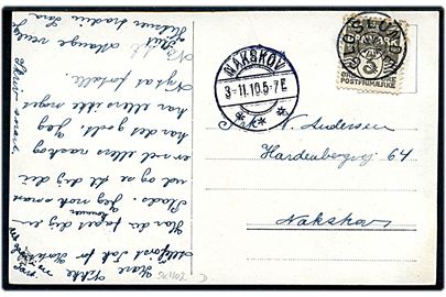 3 øre Bølgelinie på lokalt brevkort annulleret med stjernestempel GLOSLUNDE og sidestemplet Nakskov d. 3.11.1910 til Nakskov.