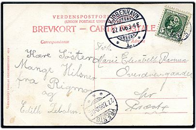 5 øre Chr. IX på brevkort annulleret med stjernestempel FARUM og sidestemplet Kjøbenhavn L. d. 27.7.1906 til Præstø.