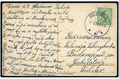 5 øre Chr. X på brevkort skrevet på polsk annulleret med brotype IIIb Stubbekjøbing d. 1.3.1916 til Boderupgaard pr. Eskildstrup på Falster. Muligvis med relation til de polske arbejdere på Falster.