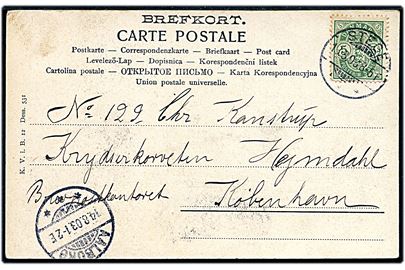 5 øre Våben på brevkort fra Stege d. 13.8.1903 til sømand ombord på krydserkorvetten Heimdal via Brevpostkontoret i Kjøbenhavn - eftersendt til skibets station i Aalborg.