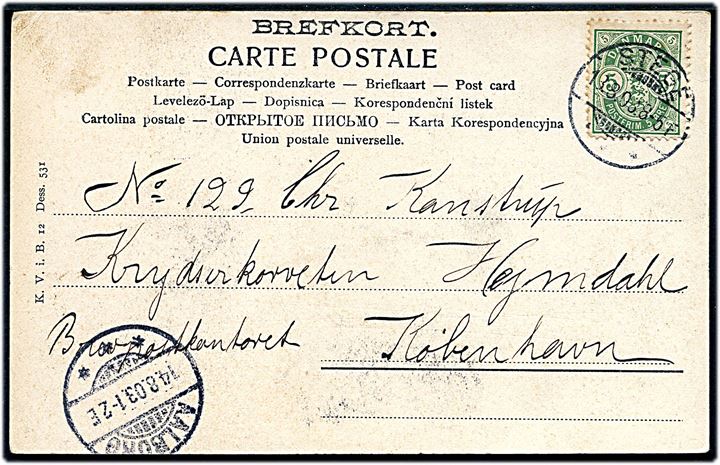 5 øre Våben på brevkort fra Stege d. 13.8.1903 til sømand ombord på krydserkorvetten Heimdal via Brevpostkontoret i Kjøbenhavn - eftersendt til skibets station i Aalborg.