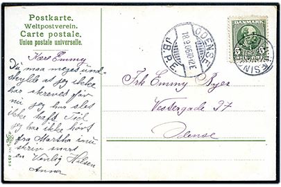 5 øre Chr. IX på brevkort annulleret med stjernestempel VESTER-HÆSINGE og sidestemplet Odense JB.P.E. d. 18.9.1906 til Odense.