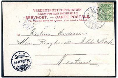 5 øre Våben på brevkort (Dampfærgen Storebælt) annulleret med sejlende bureaustempel Korsør - Nyborg T.3 d. 31.10.1905 via Nyborg til Næstved.