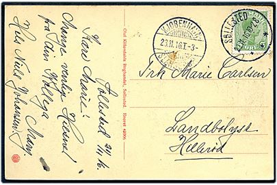 5 øre Chr. X på brevkort annulleret med brotype IIIb Søllested d. 22.11.1916 til Landbolyst pr. Hillerød. Transit stemplet med bureaustempel Kjøbenhavn - Slangerup T.3 d. 23.11.1916.