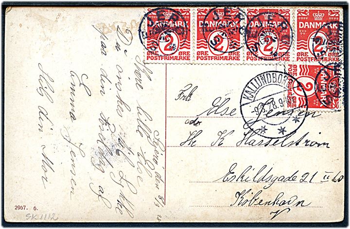 2 øre Bølgelinie (6) på 12 øre frankeret brevkort annulleret med stjernestempel SEJERØ og sidestemplet Kallundborg d. 9.3.1928 til København. Sen anvendelse af brotype IIa eller IIb Kallundborg (gammel stavemåde) som ikke er registreret i perioden 1926-1929 jf. Vagn Jensen.