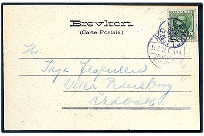 5 øre Fr. VIII på brevkort (Hald Sø) annulleret med stjernestempel BÆKKELUND og sidestemplet bureau Herning - Viborg d. 11.7.1907 T.1149 til Vedbæk.
