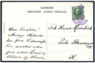 5 øre Fr. VIII på lokalt brevkort (Prinsesse Marie) annulleret med særstempel Valmuefesten 1-2-3 April 1908.