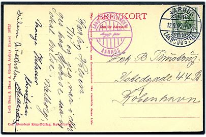5 øre Fr. VIII på brevkort annulleret med særstempel Aarhus Landsudstill. d. 12.9.1909 til København.