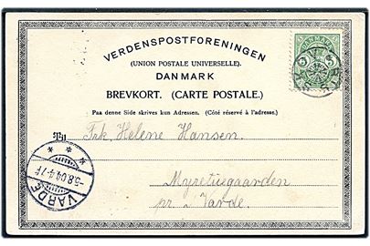 5 øre Våben på brevkort (Aarhus set fra Riis Skov) annulleret med stjernestempel RIIS SKOV til Varde. Ank.stemplet i Varde d. 5.8.1904.