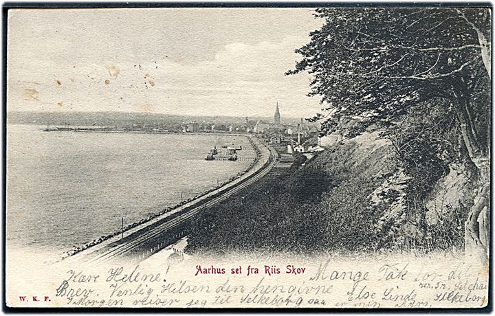 5 øre Våben på brevkort (Aarhus set fra Riis Skov) annulleret med stjernestempel RIIS SKOV til Varde. Ank.stemplet i Varde d. 5.8.1904.