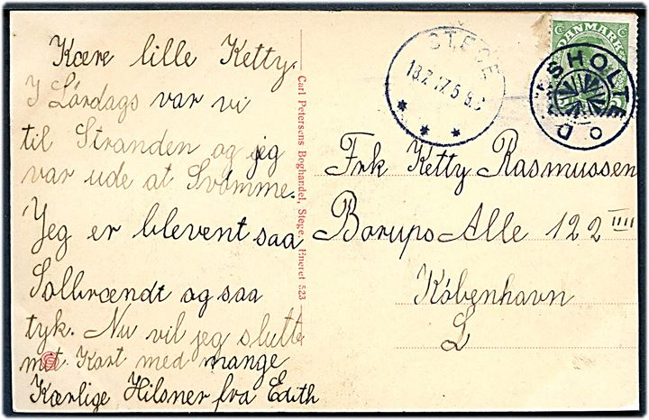 5 øre Chr. X på brevkort (Ulfshale Stenminer, Møn) annulleret med stjernestempel DAMSHOLTE og sidestemplet Stege d. 18.7.1917 til København.