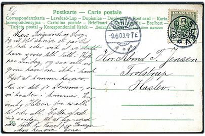 5 øre Fr. VIII på brevkort annulleret med stjernestempel GJØRSLEV og sidestemplet Borup d. 9.6.1909 til Haslev.
