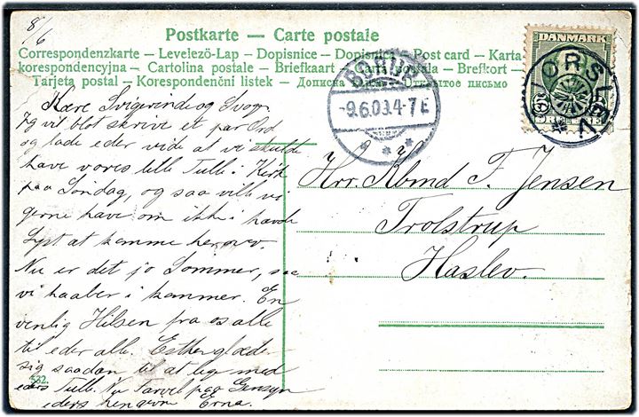 5 øre Fr. VIII på brevkort annulleret med stjernestempel GJØRSLEV og sidestemplet Borup d. 9.6.1909 til Haslev.
