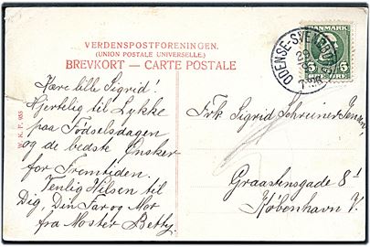 5 øre Chr. IX på brevkort (Udsigt fra Svinehøj, Svendborg) annulleret med lapidar bureaustempel Odense - Svendborg d. 29.9.190x til København.