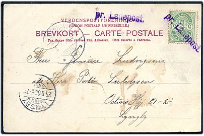 5 øre Våben på brevkort fra Vordingborg annulleret med violet liniestempel pr. Ladepost. (33 mm) og sidestemplet Kjøbenhavn B. d. 25.8.1905 til Lyngby. Sjældent stempel, men med lidt fugt skjolder.