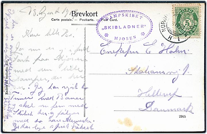 5 øre Posthorn på brevkort (Dampskibet Skibladner, Mjøsen) annulleret med bureaustempel Nordbanernes Peksp. I H d. 8.8.1909 og sidestemplet Dampskibet Skibladner * Mjøsen * til Hellerup, Danmark.