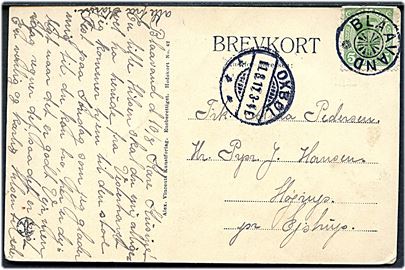 5 øre Chr. X yderligt placeret på brevkort annulleret med stjernestempel BLAAVAND og sidestemplet Oxbøl d. 11.8.1917 til Ejstrup.