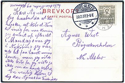3 øre Bølgelinie på lokalt brevkort annulleret med stjernestempel OREHOVED og sidestemplet Nørre-Alslev d. 20.2.1907 til Bøgeskovholm pr. Nørre Alslev.